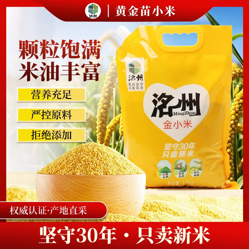 河北特产洺州黄小米月子宝宝米粘稠新米袋装食品粥小米
