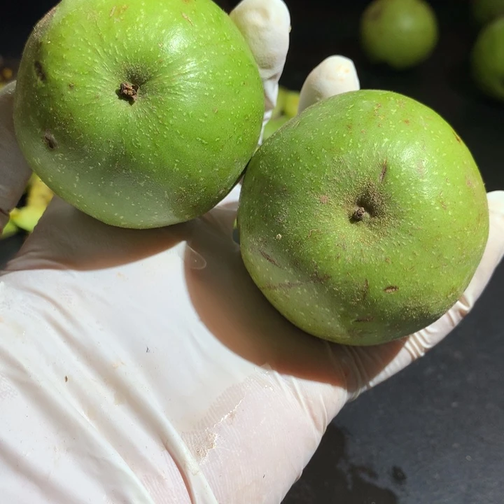 文玩核桃吊坠青皮特殊定制商品不退不换