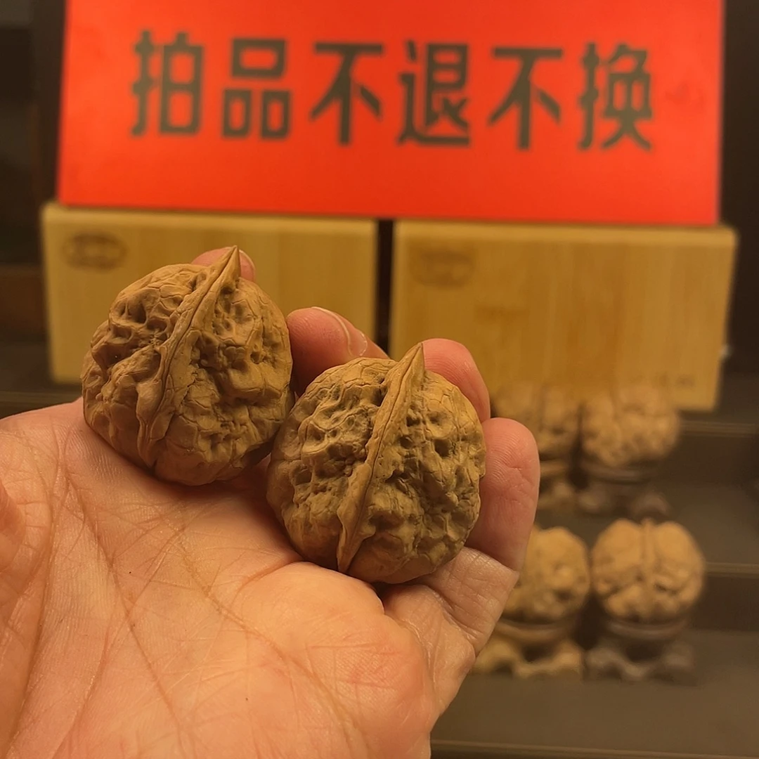 把件文玩核桃龙牙石