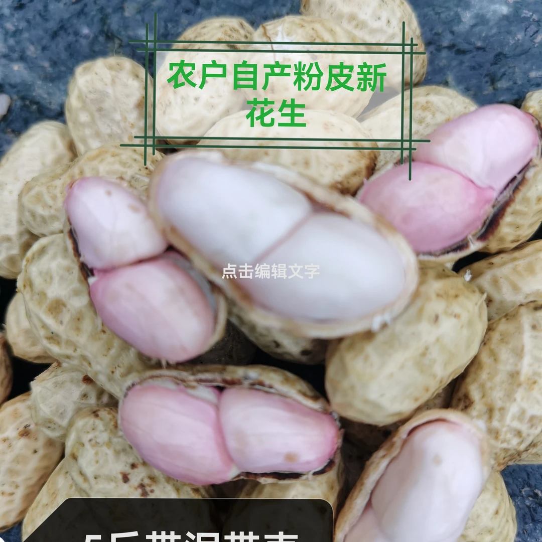 新鲜5斤现挖带壳带泥粉皮花生带壳花生生花生可水煮生吃农家自种