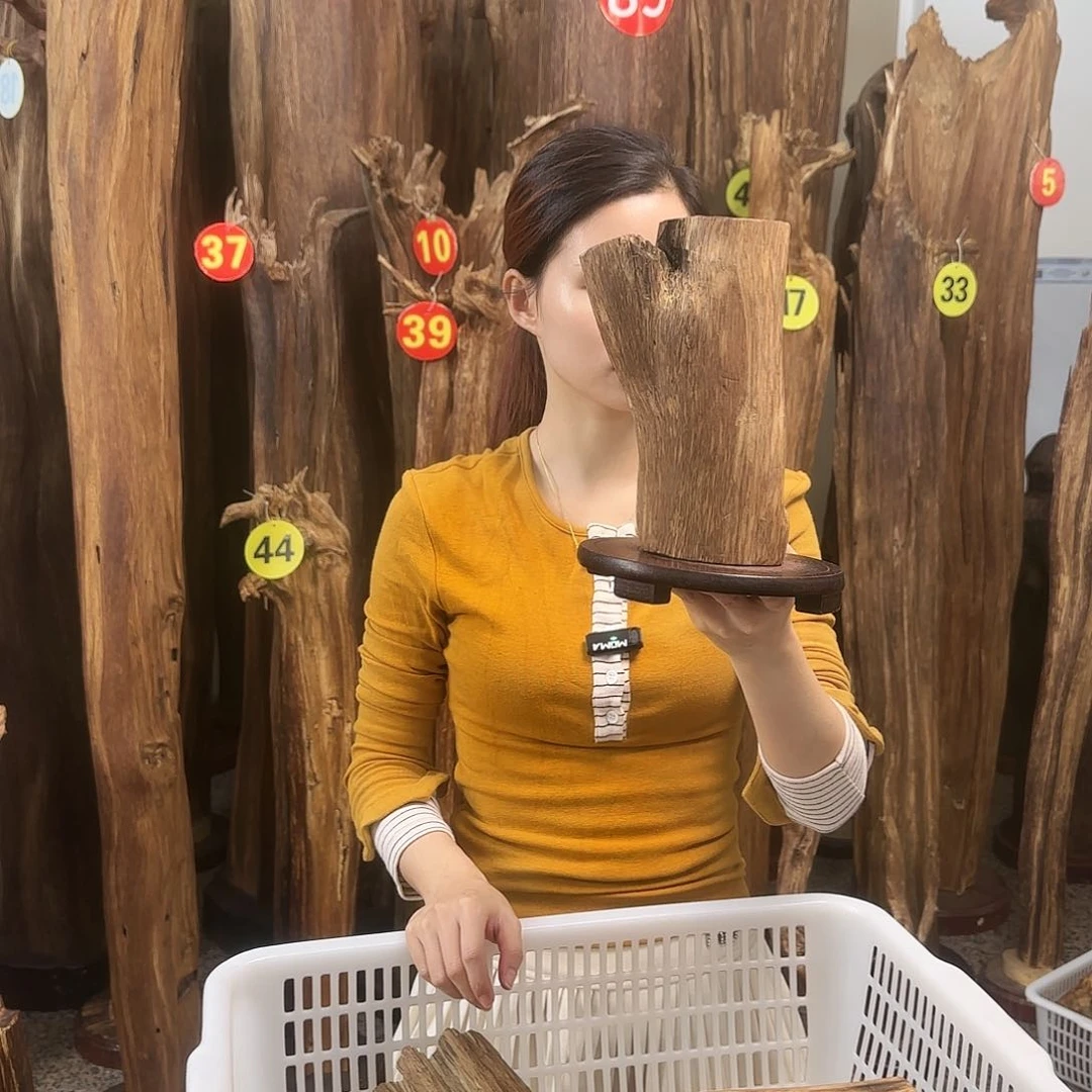 沉香沉香碎屑天然沉香原材料➕底座