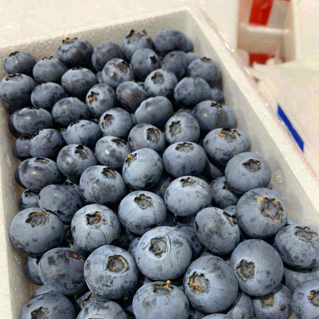 【云南蓝莓】泡沫箱20➕蓝莓 400克云南省