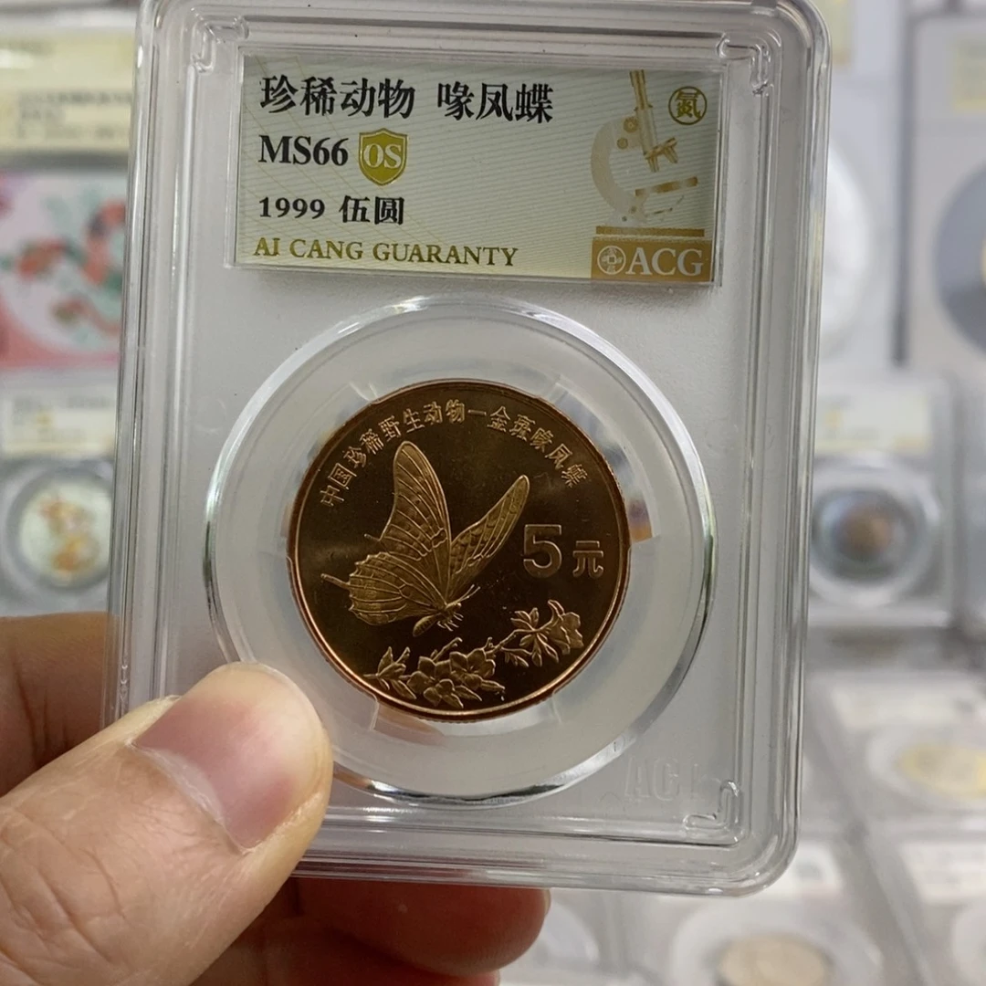 铜凤蝶66分OS。。。。。。。