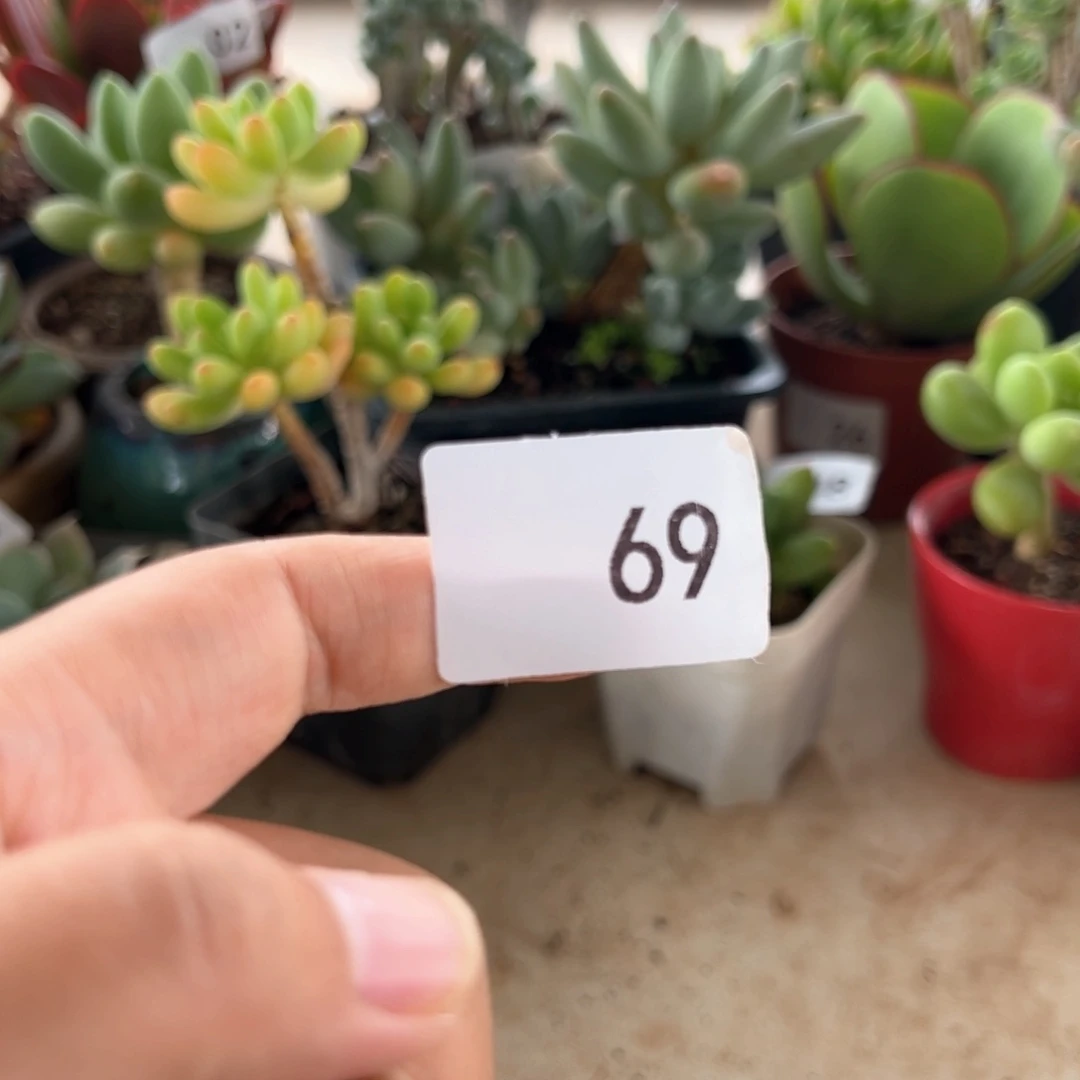 【闪购商品】用****469。 11111111
