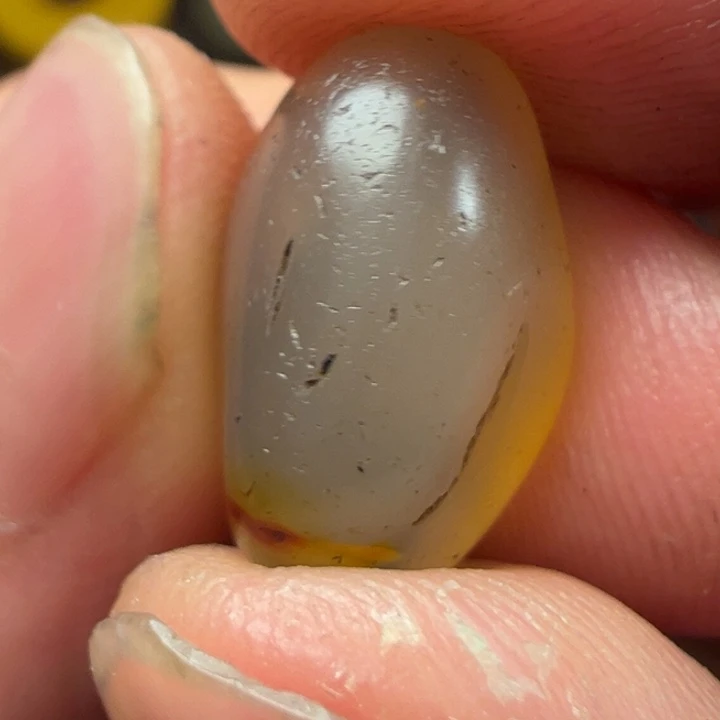 我们都会在这里等