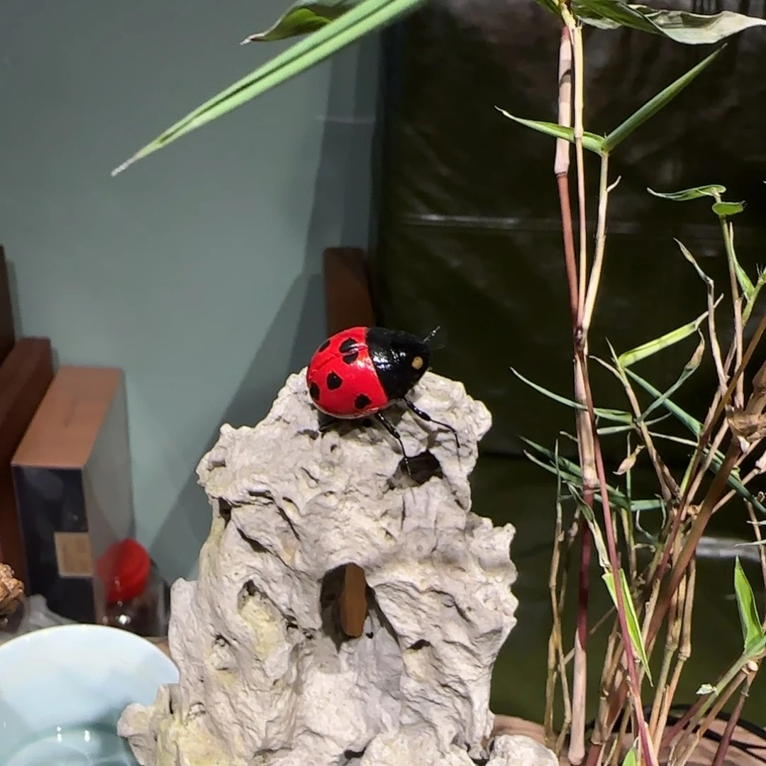 宝g官方反反复复此次v的