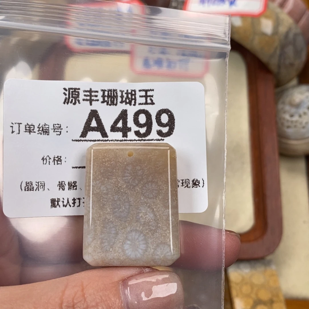 硅化玉颈饰未镶嵌戴*
