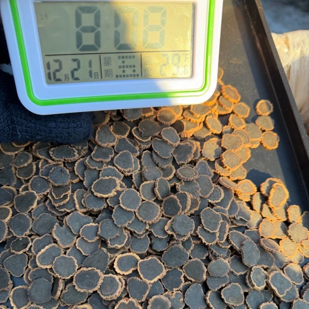 长白山九蒸九晒金边黑参片