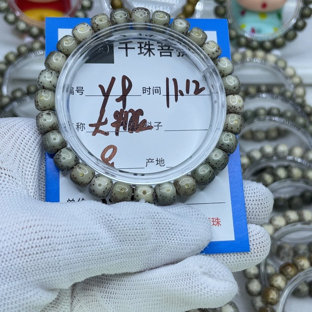菩提籽类Y9大牛眼