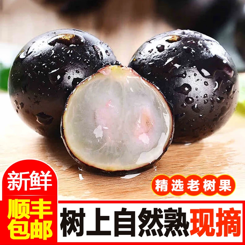 精选沙巴嘉宝果树上熟新鲜现摘树葡萄清甜孕妇时令水果顺丰冷链