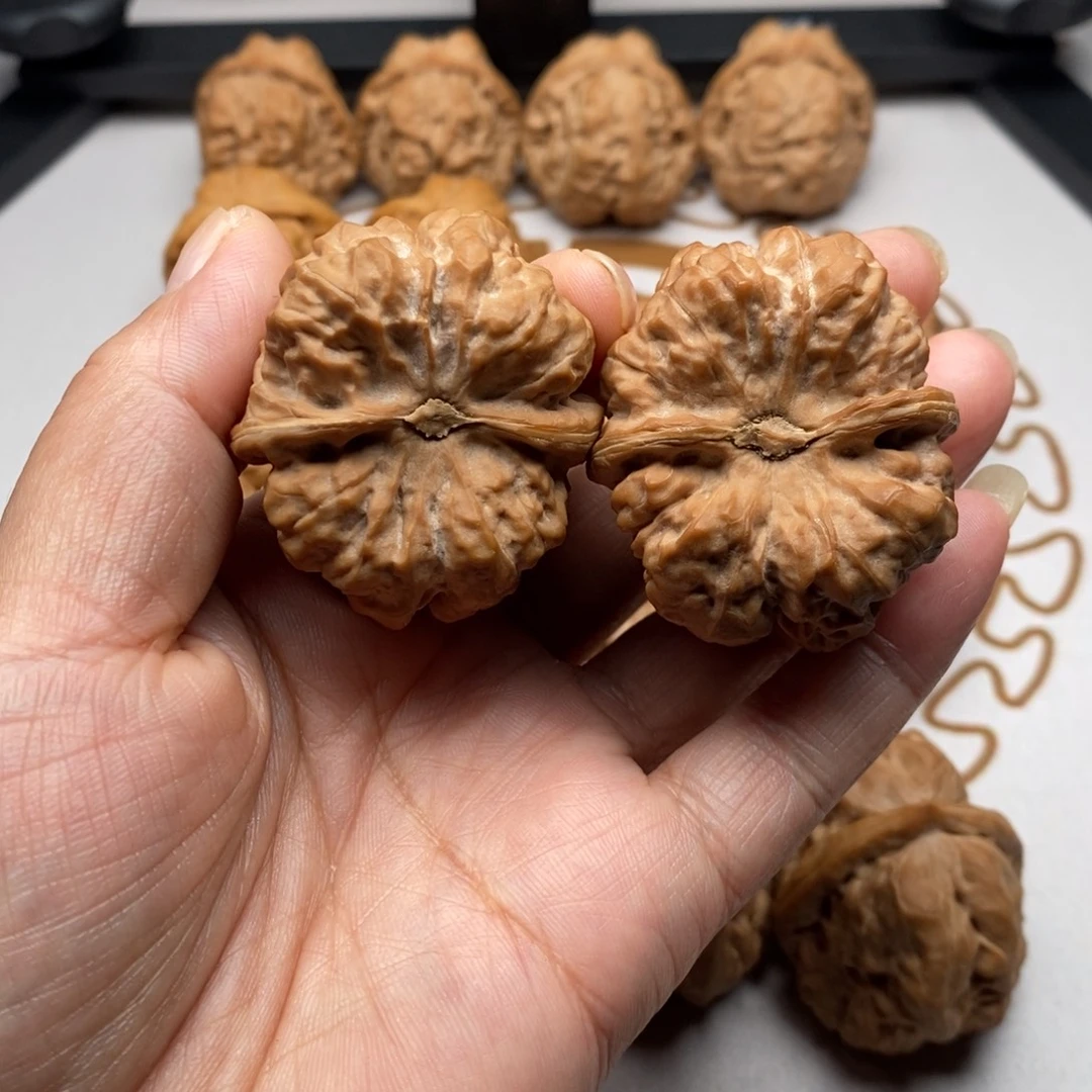 一***火核桃边39肚44三角蛙