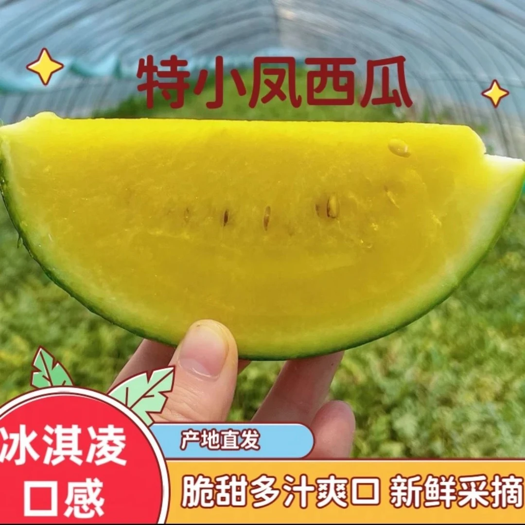 甘肃武威沙漠特小凤冰淇淋黄瓤纸皮西瓜现摘现发沙甜整箱包邮