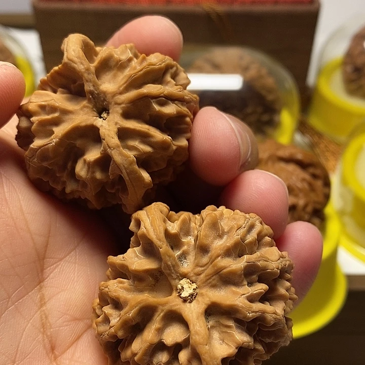 文玩核桃把件大*好苹果狮子头