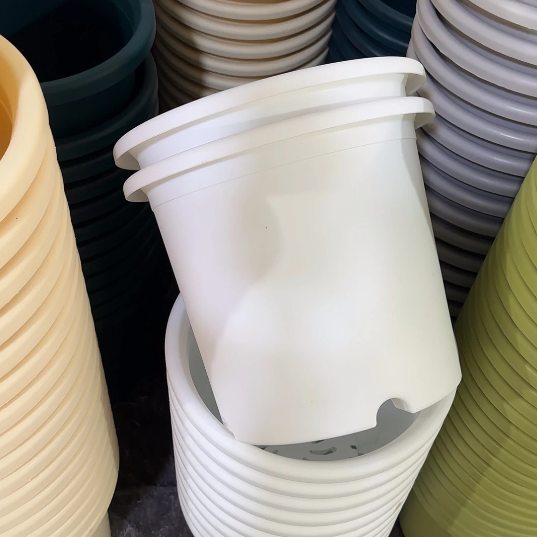 微瑕6号带托7个，白