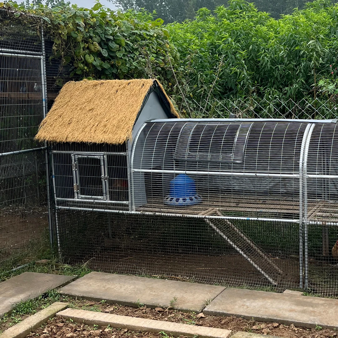 养殖鸡舍兔舍户外防雨棚鸡窝家禽鸡笼防晒鸭棚鸡舍搭建家用养殖
