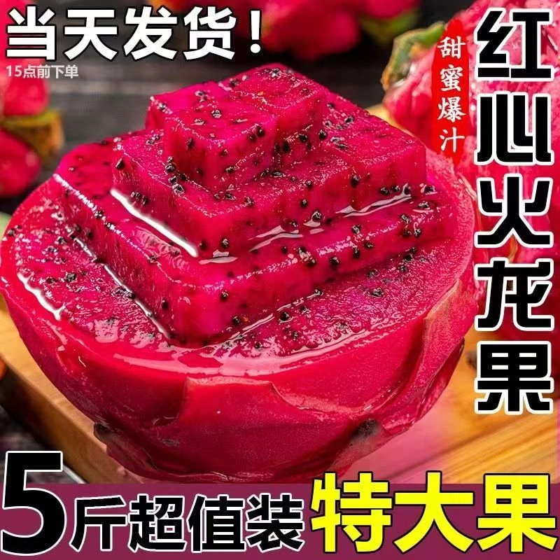 正宗金都一号红心火龙果现摘现发