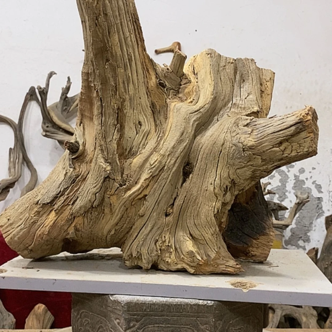 【闪购商品】柏木展****）我们都是好孩子