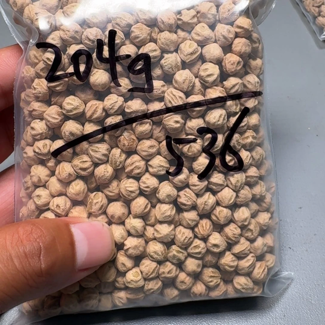 吊坠柏香籽/百香籽墨*