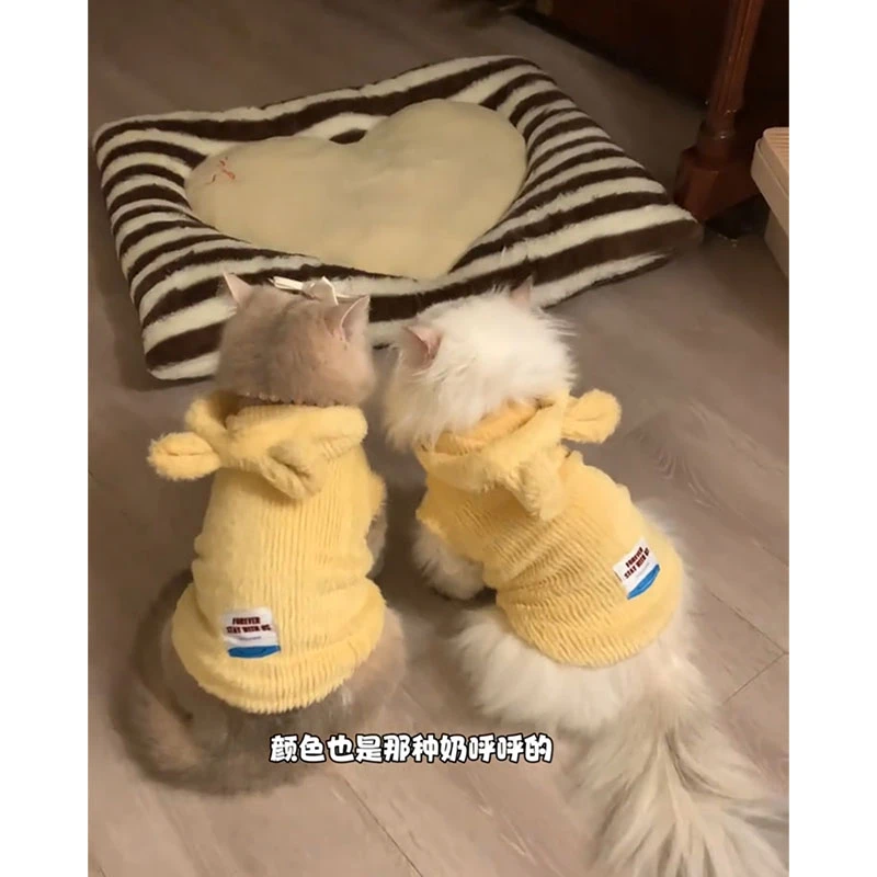 猫咪衣服秋冬保暖毛绒无袖连帽衫马甲外套布偶金渐层冬天加绒背心