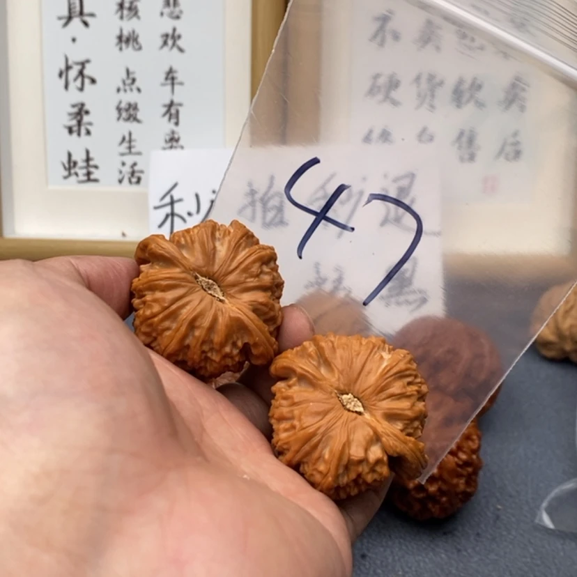 【闪购商品】文玩核桃把件573753753573537537