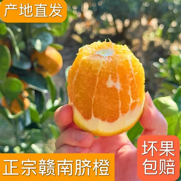 当季新鲜正宗赣南脐橙水果脆甜多汁现摘现发产地直发应季水果