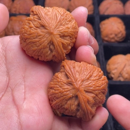 文玩核桃把件秦岭山脉核桃