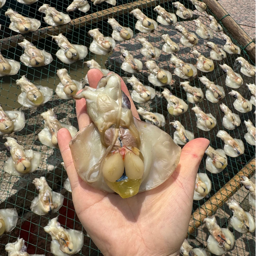 【宁东宴专属】东海深海带膏墨鱼宝墨鱼鲞 7-8分干下饭神器500g*2盒