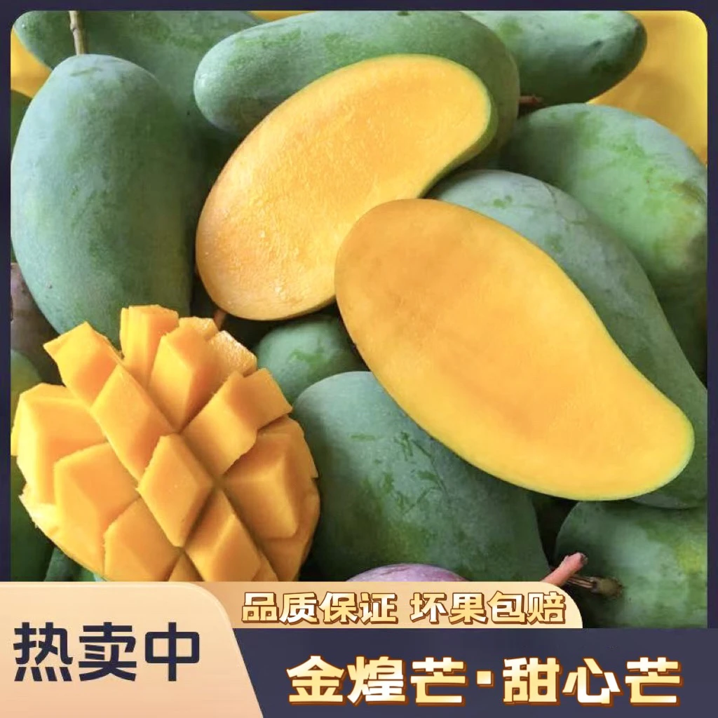 【发申通】广西百色小金煌 甜心芒 5/9斤装 产地直发 坏果包赔
