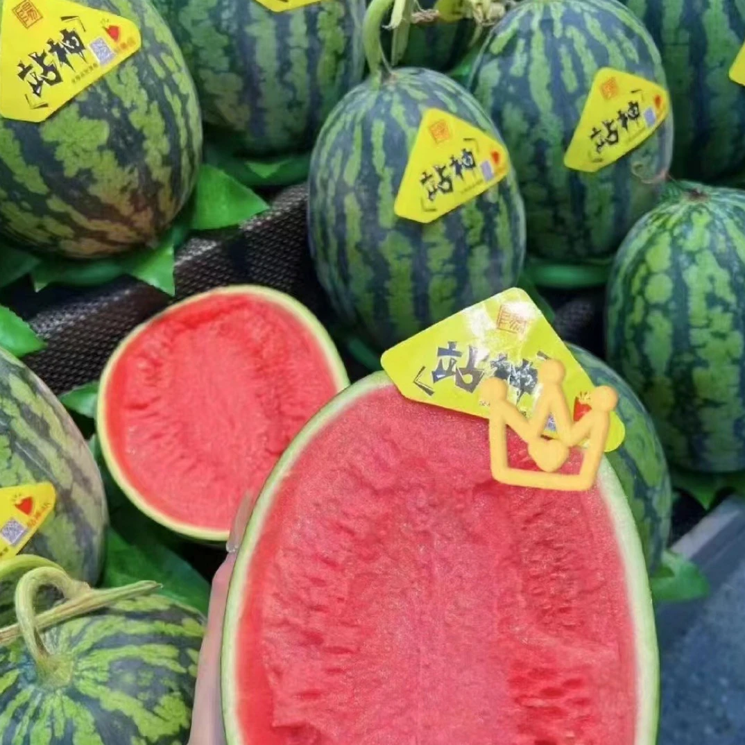 老牛优选  战神甘美4K西瓜  1件1颗4-9斤 快递包邮