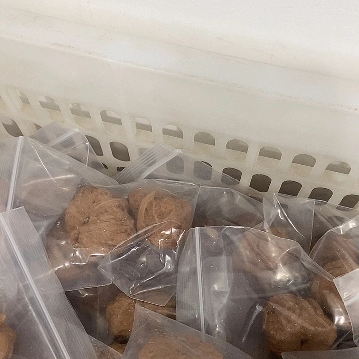 吊坠文玩核桃瑕疵蛙团购