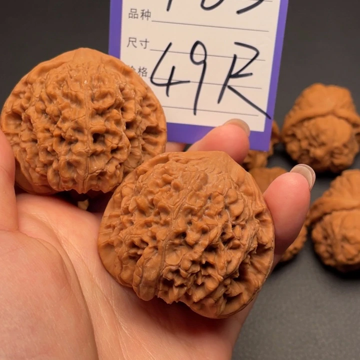 核桃官帽49尺寸