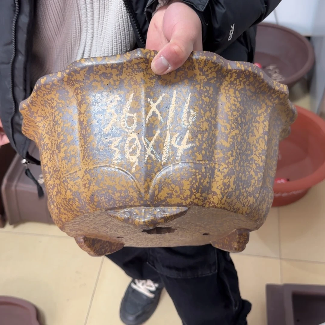 紫砂花盆呜呜呜呜