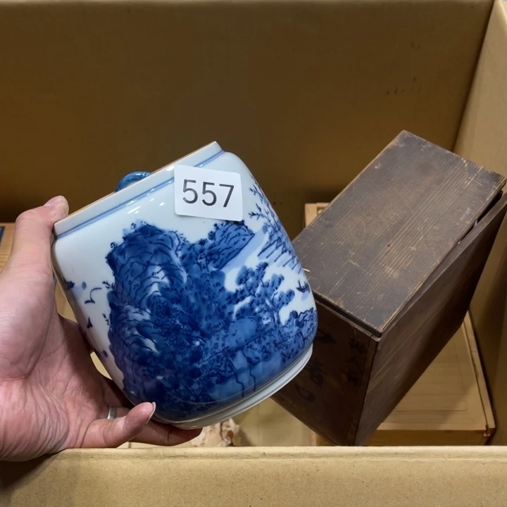 茶宠我们都在努力着改变自己