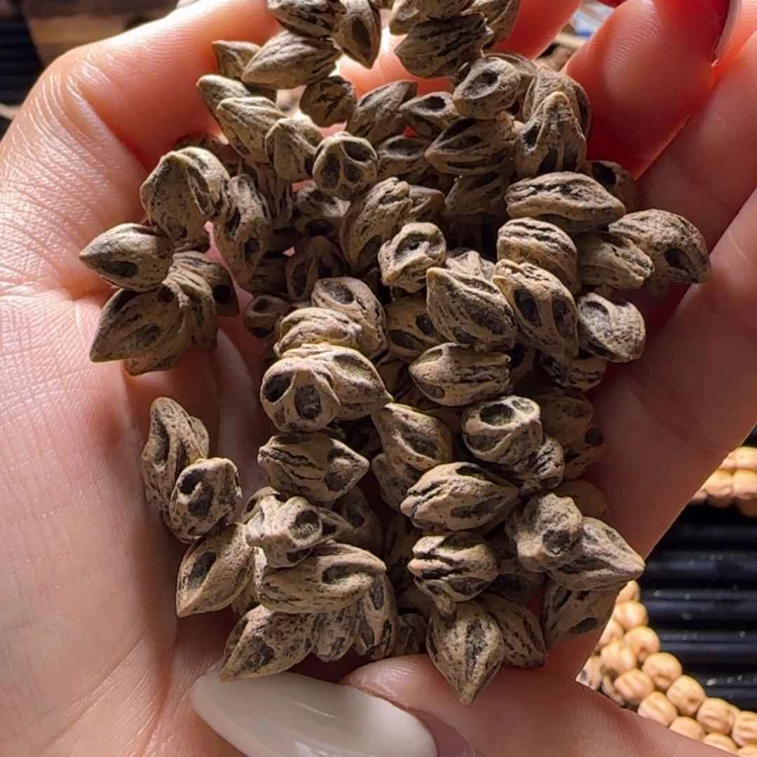 【闪购商品】吊坠柏香籽/百香籽m**g