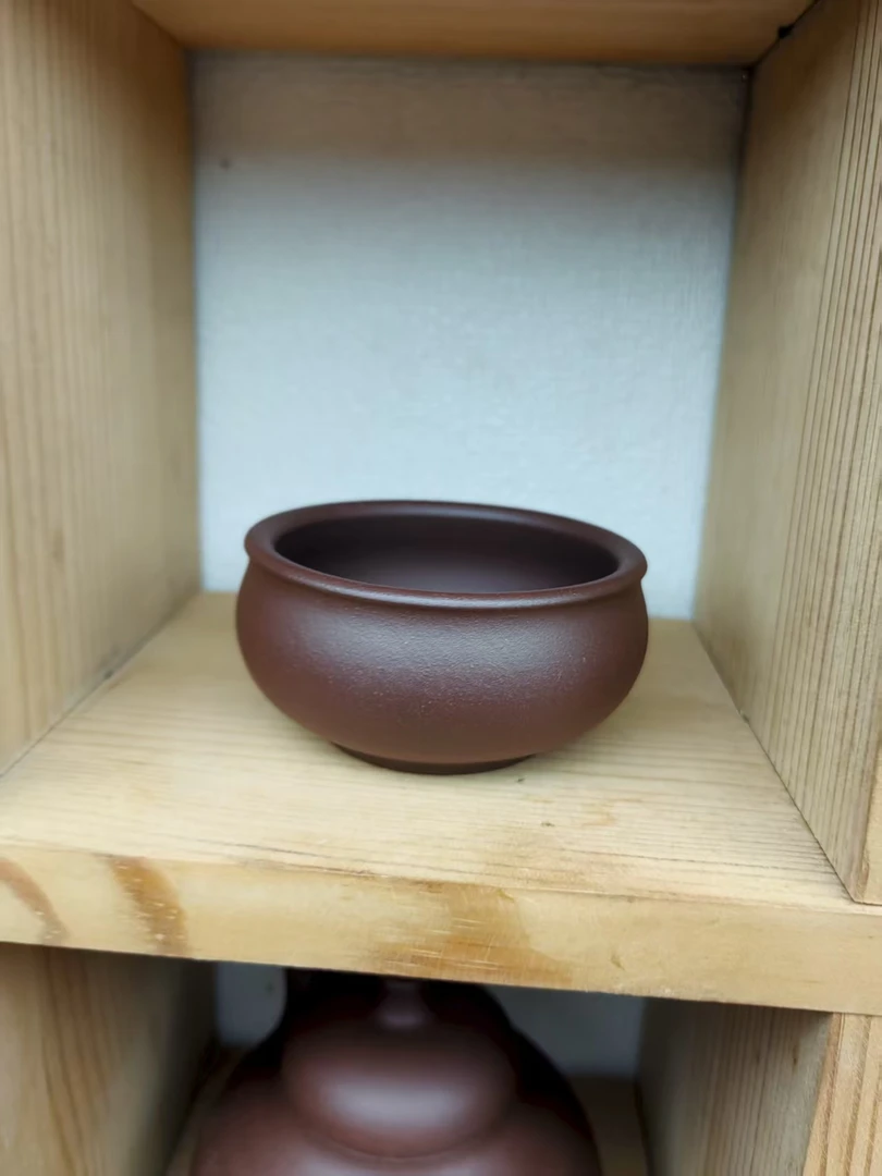 主人杯