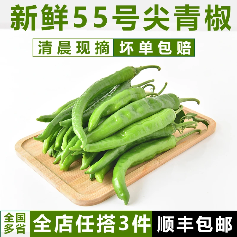 【顺丰包邮】中辣现摘现发55号尖椒薄皮农家自种蔬菜辣椒新鲜青椒