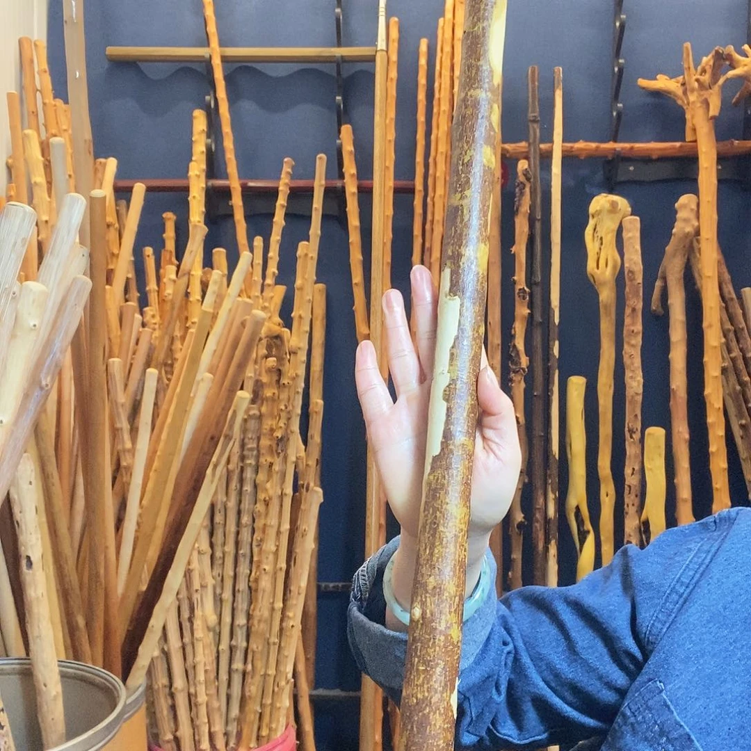 《***》好好好好好好好好好好