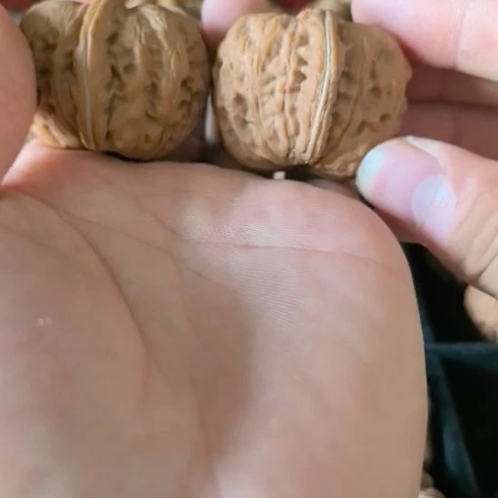 干***么吊坠龙脊菩提啊啊啊啊啊啊啊啊3