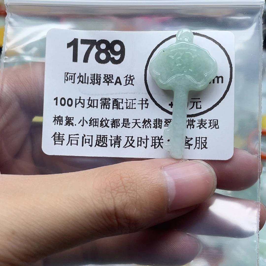 翡翠未镶嵌吊坠(赠链)