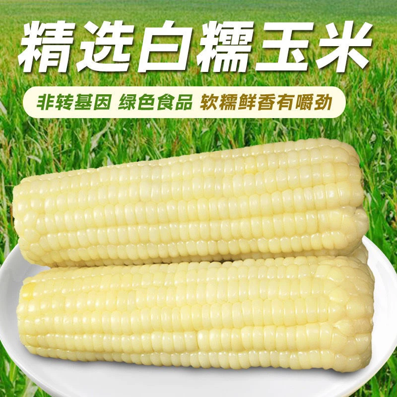 【试吃两根】东北白糯玉米真空独立包装整箱5-6斤代餐玉米10根