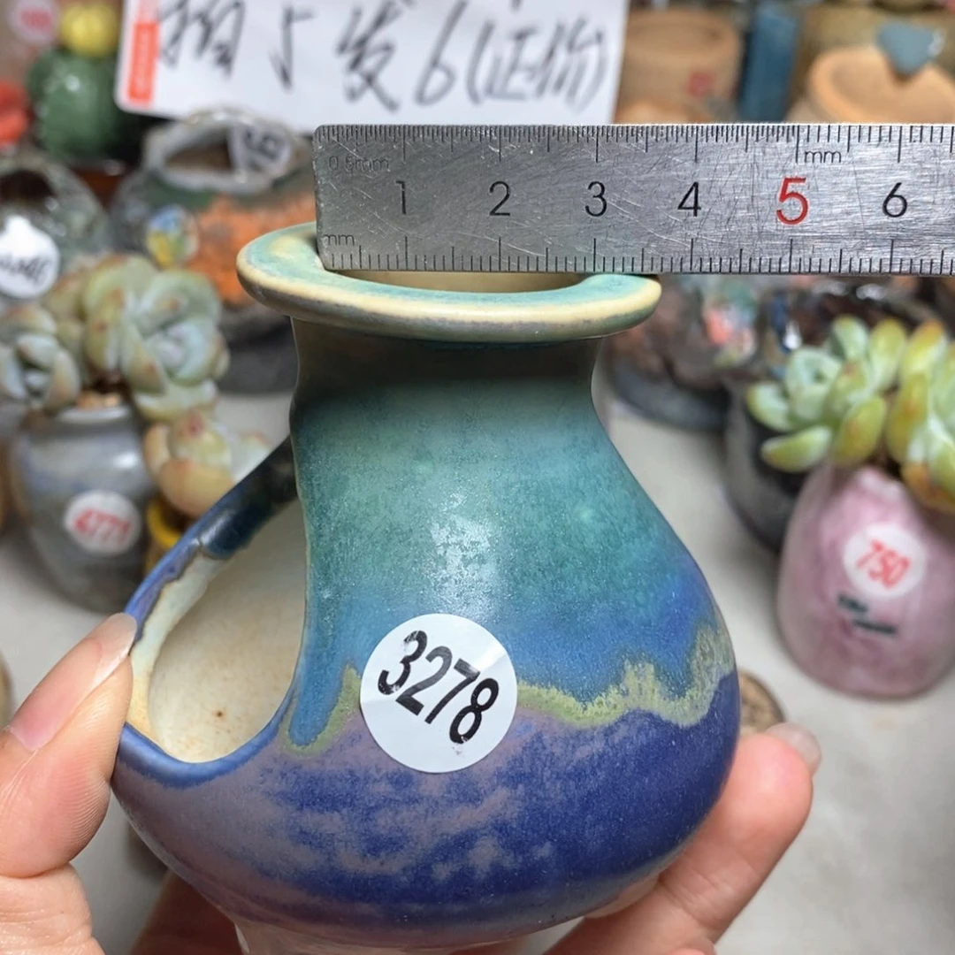 拍5送一个小礼物