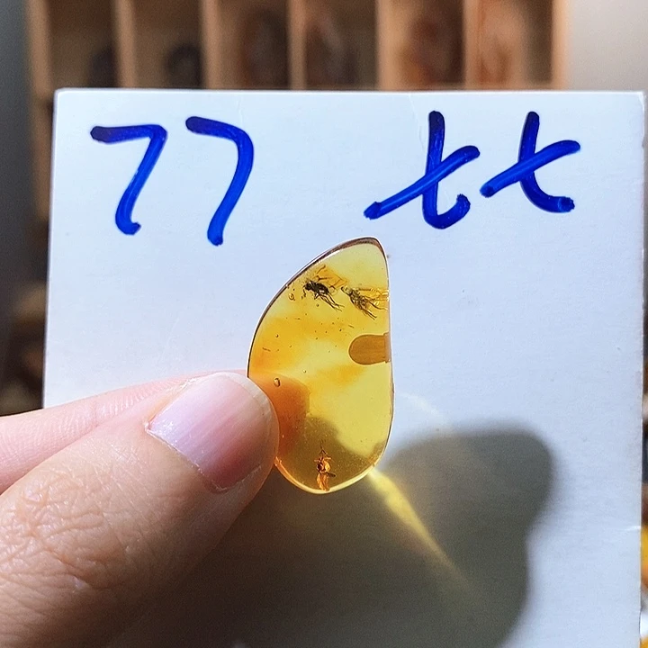 定制琥珀琥珀虫珀多虫