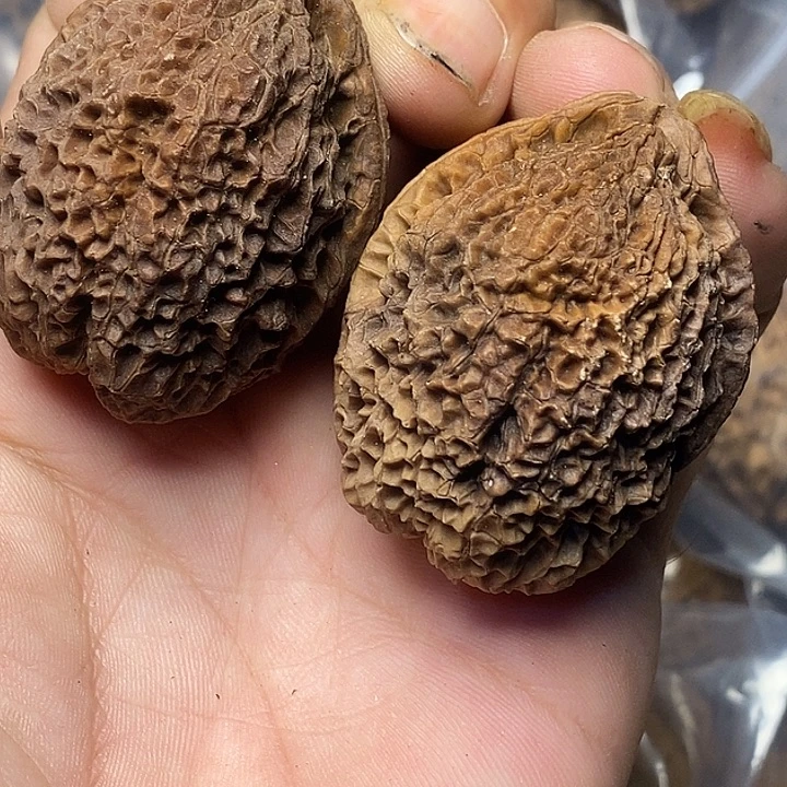 把件文玩核桃云南铁核桃16号41mm