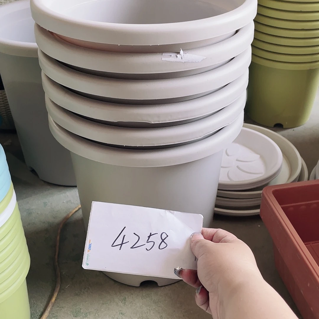 宝****店编号是4258的编号