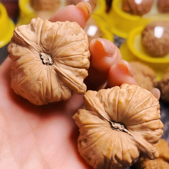 文玩核桃40尺南瓜墩