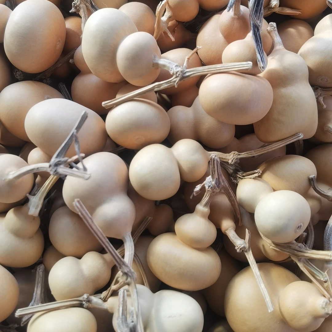 钱袋子葫芦 20个 通货