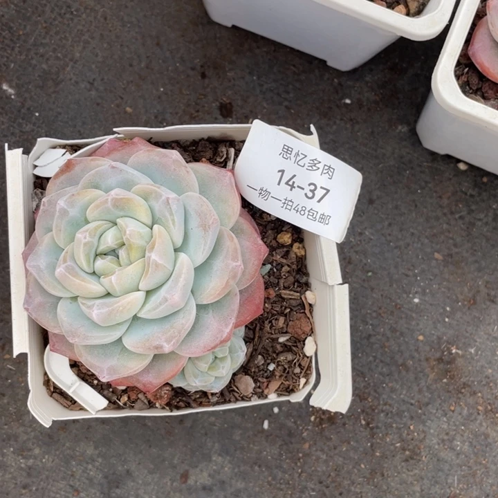 阿****你在干嘛呢我在洗衣服呢我在洗澡呢