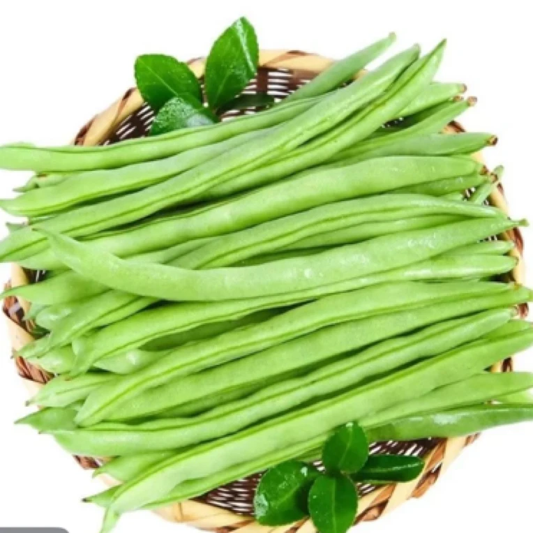 【小哥助农】农家四季豆 2斤