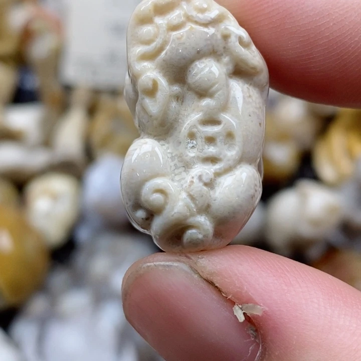 颈饰未镶嵌硅化珊瑚（珊瑚玉）小