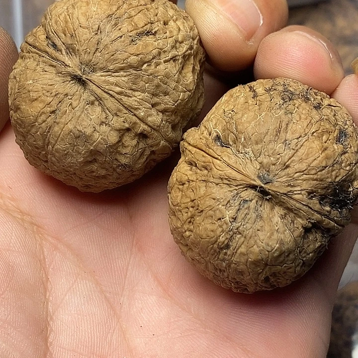 把件文玩核桃云南铁核桃24